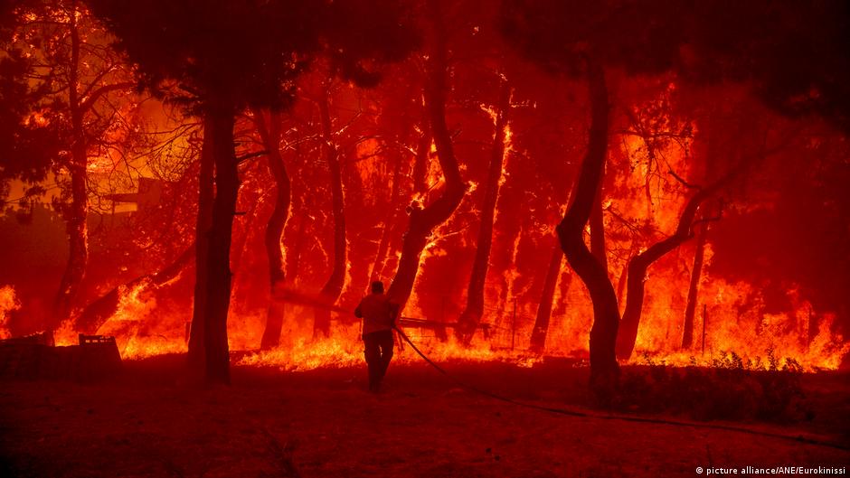 Global ısınma: Orman yangınlarıyla nasıl uğraş ediliyor?