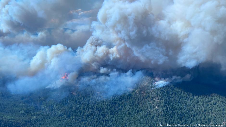 Kanada, İspanya ve Yunanistan'da orman yangınları