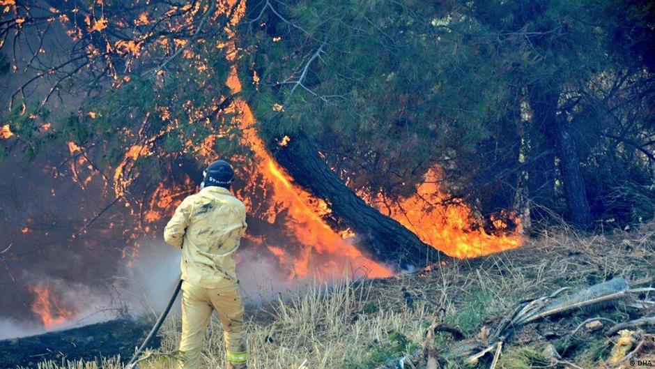 Türkiye’de orman yangınlarıyla çaba kâfi mi?